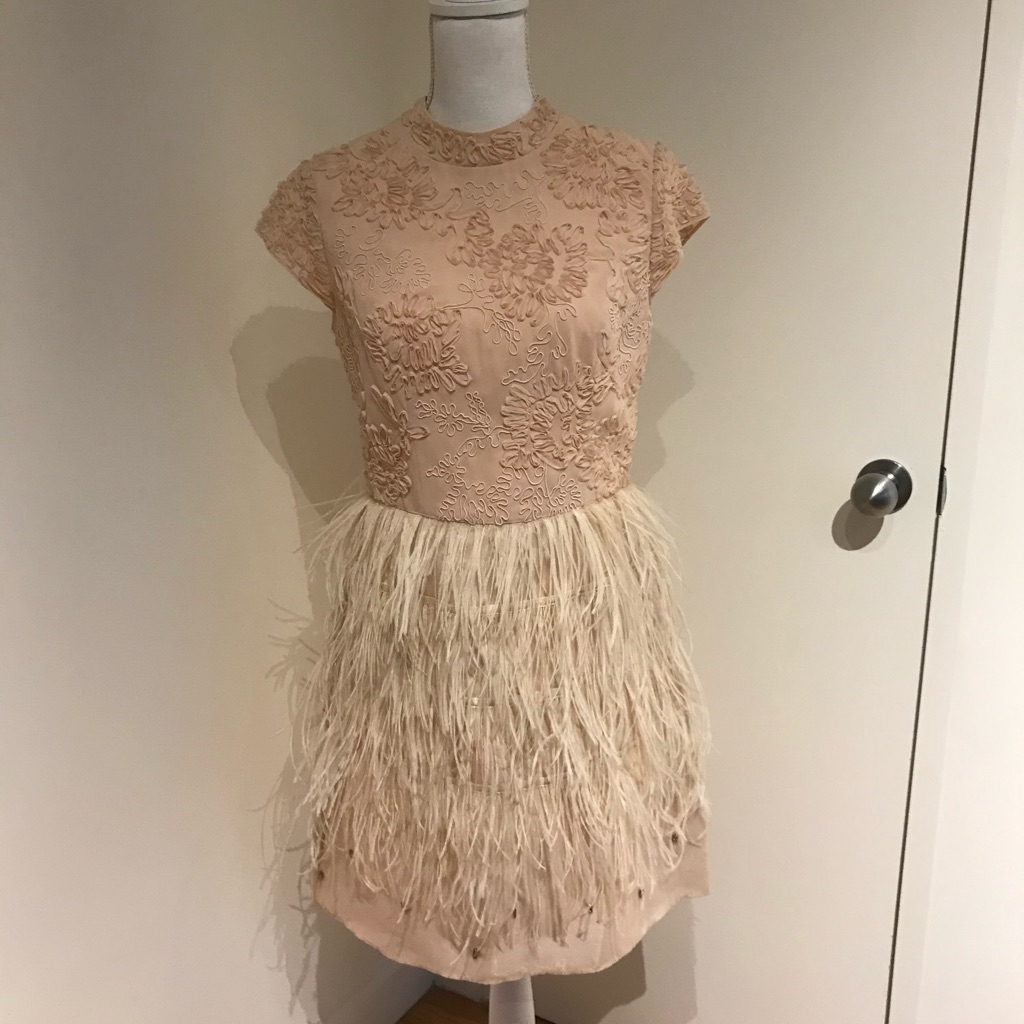 Embroidered Feather Beaded Coast Dress